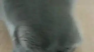 7 апреля 2020 г.