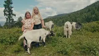 Gardbergfeltet i Vestre Slidre
