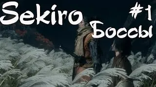 Sekiro: Shadows Die Twice. Гайд по боссам. Эпизод 1.