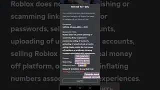 Итог:Не давай сестре свой телефон с роблоксом)))
