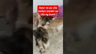 Ang kukulit na talaga nila,,