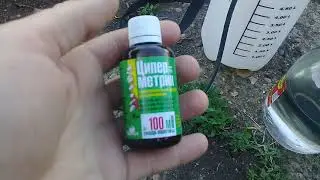 100% mosquito protection