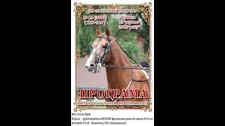 1 заїзд 29 06 2019  Приз для коней рисистих порід 2   річного віку