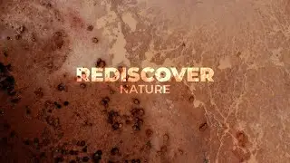 Rediscover Nature | Trailer Artlist VR