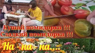 #Обзор