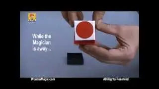 Color Vision
