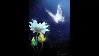 I am your butterfly