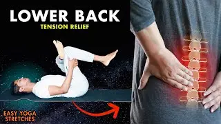 Yoga for Lower Back Pain Relief at Home | Beginner-Friendly Stretch Routine 