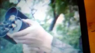 Китайский сеткомет.
