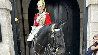 KING’S GUARDS LIVE