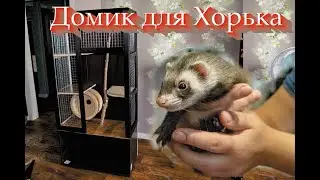 домик для хорька своими руками