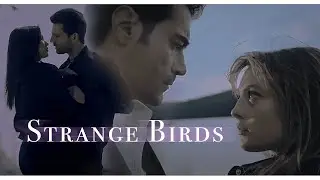 Strange Birds [ multicouples ]