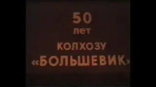 1979 год с. Дмитриевы Горы. 