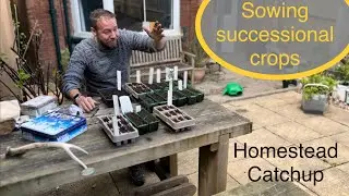 Homestead weekend- sourdough, seed sowing, tomato plant care, foraging!