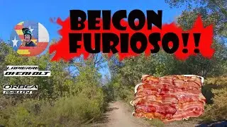Beicon o Tocino Furioso