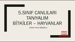 5.SINIF CANLILARI TANIYALIM BİTKİLER HAYVANLAR