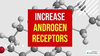 How to increase androgen receptors?