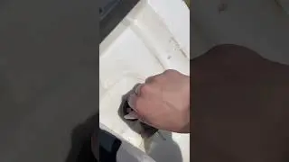 #асмр
