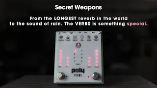 Incredible reverbs from REAL places and objects! Poly Verbs | Secret Weapons Demo & Review