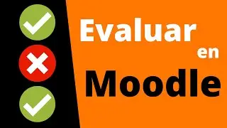 ✔️❌ 5 Ways to Evaluate on Moodle 4