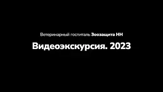Ежегодная видеоэкскурсия по ветеринарному госпиталю "Зоозащита НН"