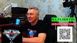 ДУБЛЬ №2