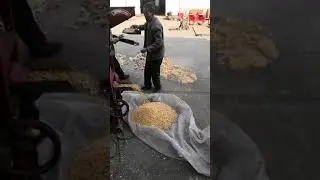 Widely used grain cleaning machine,corn seed cleaner