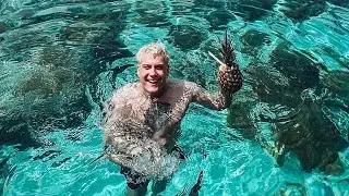 DIE SONNE LACHT - MALTA VLOG ☀️🍍