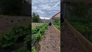 Эко бутылка Tupperware