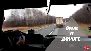 Осень в Дороге.