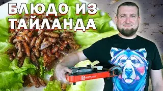 Такого вы точно не ели! Жаренные кузнечики из Тая!!!