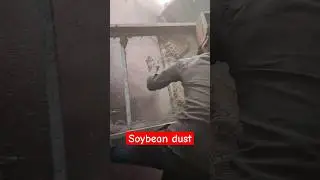 soybean dust #soybean #farming #farm #soybeans