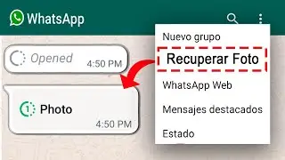 How to Restore Deleted Photos from WhatsApp | Recover Photos from 