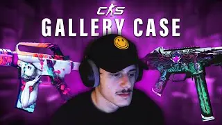 EVERY GALLERY CASE SKIN In-Game View