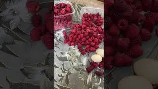 Малина соколица и пшехиба на 11 июня 2024 год. Сравнение