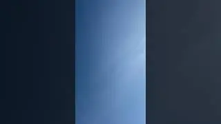 Голуби Казахстана Самата Шымкент