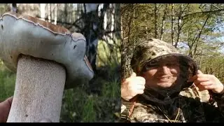 Ай да за грибами ?
