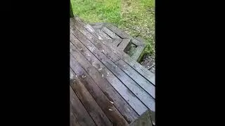 Sitting on the porch on this beautiful day & BAM thunderstorm