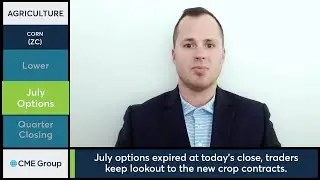 As the quarter comes to a close, prepare for new crop contracts, 6/21/24