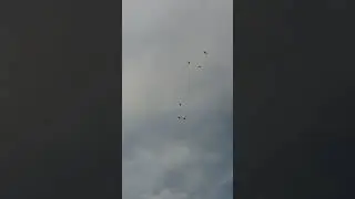ГОНЯЕМ НАШИХ ГОЛУБЕЙ.