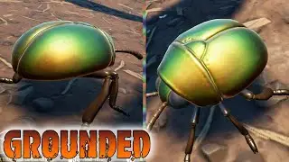 Grounded ❎ Matando o Escaravelho Verde ▪ Kill Scarab