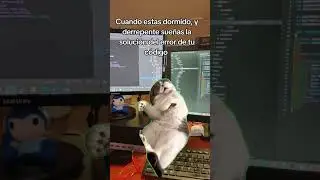 #softwaredeveloper