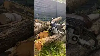 ZIMANI MS250 PRO.#zimani #stihl #holzfforma #husqvarna #бензопилы