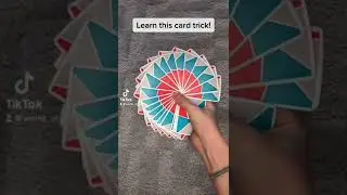 This is the COOLEST card fan you will ever see!  Check this: 