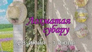 Лохматая субару