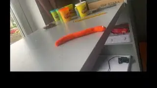 Stop motion. The very hungry worm. #shortsvideo #stopmotion #stopmotionfilm #animationvideo