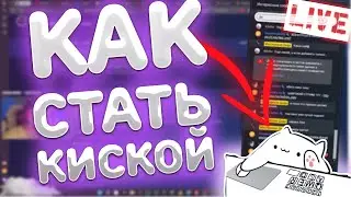 Как стать котиком на стриме? Плагин для OBS если нет камеры вебки - bongo cat