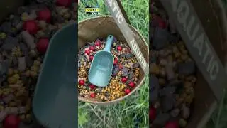 Обзор рыбалки 
