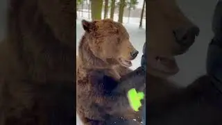 February 23, 2024. With a bear in the forest.