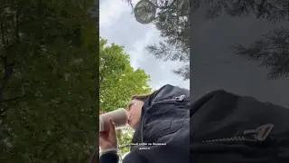 Мой день как девятиклассницы 🤟🏻🩶#shorts #мойдень